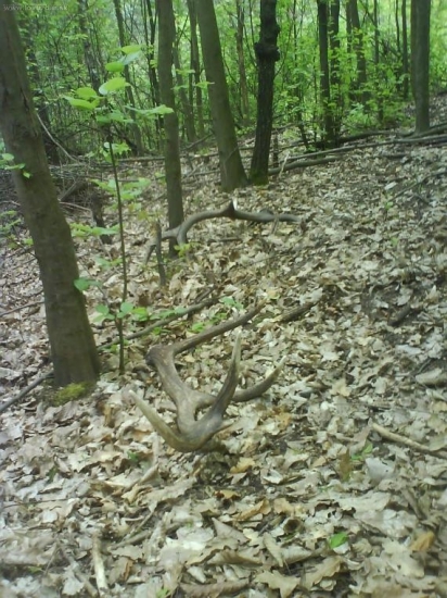 A POTOM PAR PRI SEBE