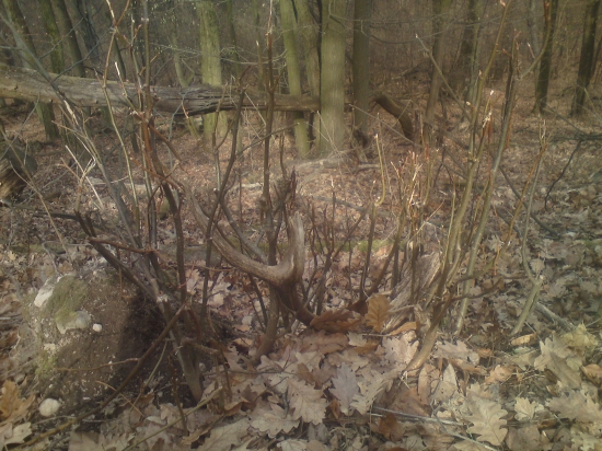 Darmo sa schovavas, aj tak ta najdem