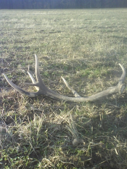 Krasavec z pred par rokov na luke