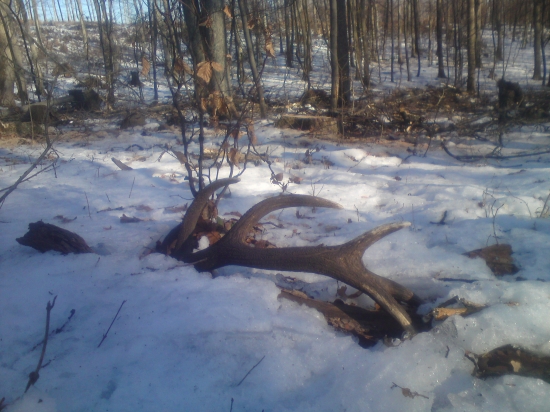 Dnesny krasavec v praci