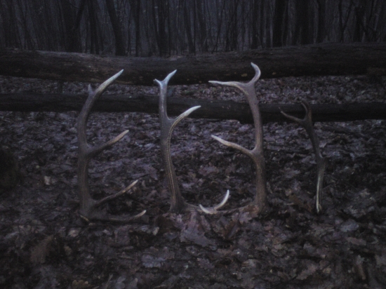 aj v hustej hmle sa da najst