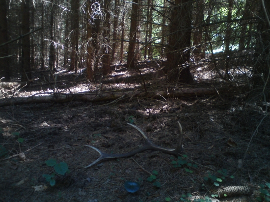 po dlhom case v praci