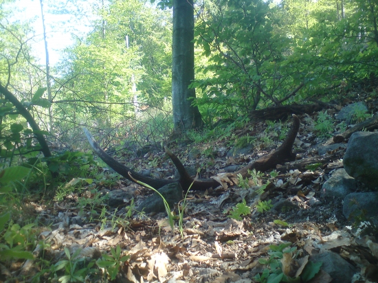 po dlhom case v praci