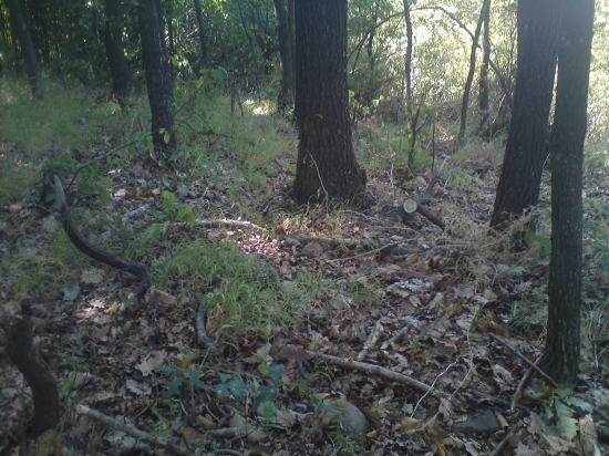 Ked sa darí tak sa darí