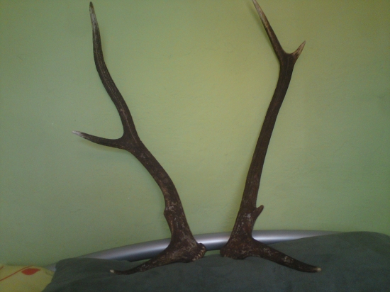 to je ten starec vaha 3kg