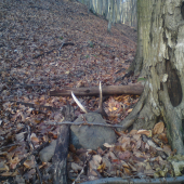 dnes pre mna velky piatok v praci