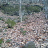 este jeden v tom tazkom terene