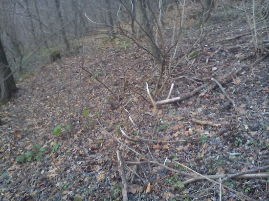 na spolocnej polovacke