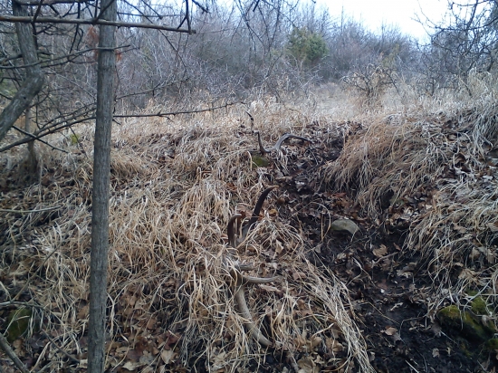 Takto ma cakali tri kusky