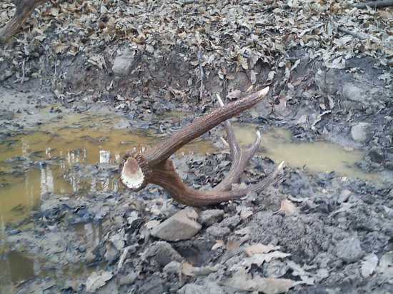 Starcek sa bol napit