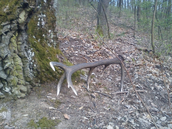 Ked sa darí tak sa darí