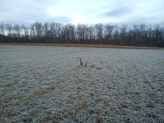 rano cestou do prace