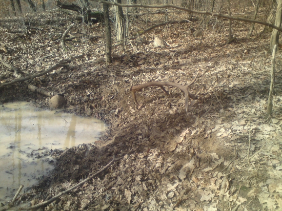 bahnisko ma nezradilo