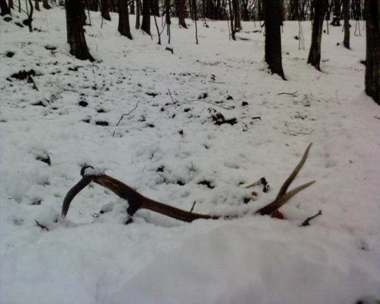 necakany cestou domov