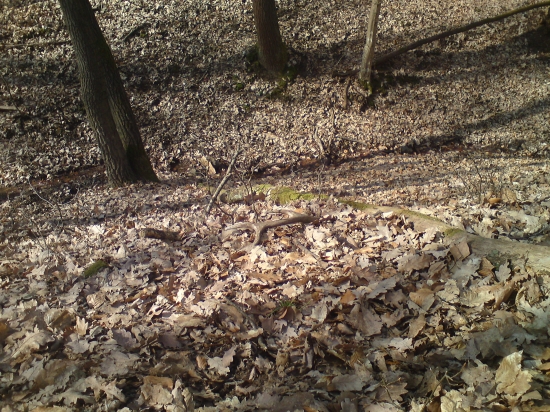 rok 2010 ukoncenie sezony