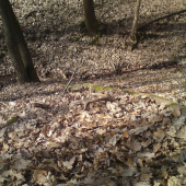 rok 2010 ukoncenie sezony