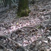 rok 2010 ukoncenie sezony