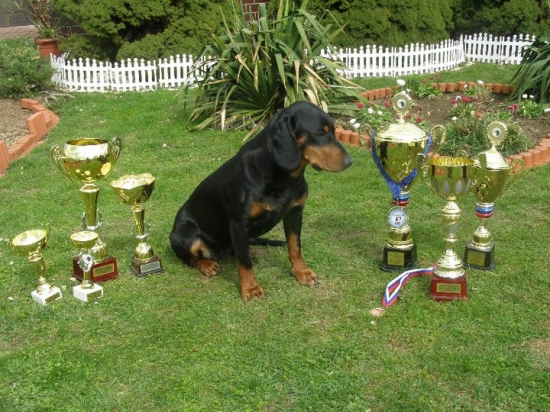 Andy so svojími úspechmi