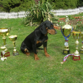 Andy so svojími úspechmi