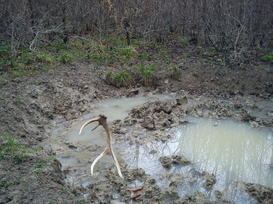 a takto tam ráno čakal