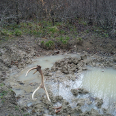 a takto tam ráno čakal