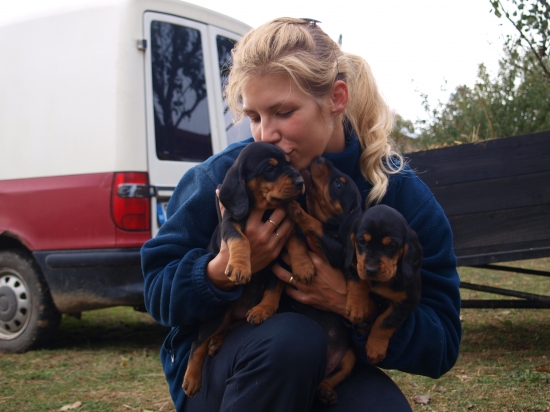 Andinine šteňatá-9