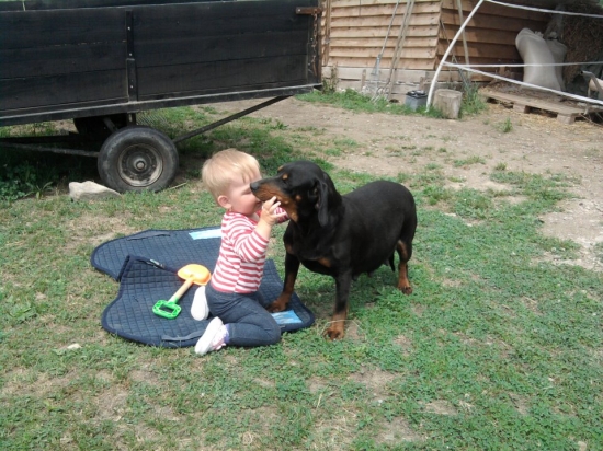 Dianka mladá vystavovateľka