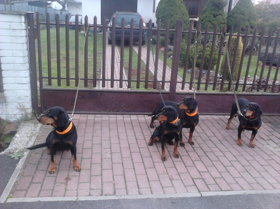 uz sa to zacalo!baby sa tesia na spolocnu