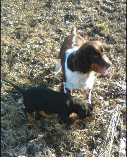 Hanka s novou členkou rodiny-Andy,