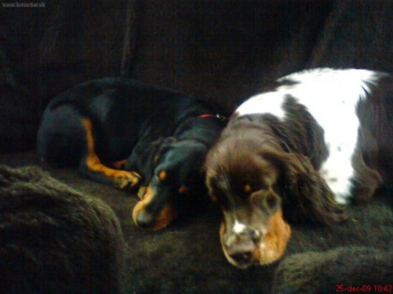 ako nam je spolu dobre-Honey a Andy