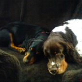 ako nam je spolu dobre-Honey a Andy