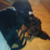 Honey sa sprava ako keby bola Andyna mama