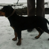 naša 5 mesačná Andy Morské oko