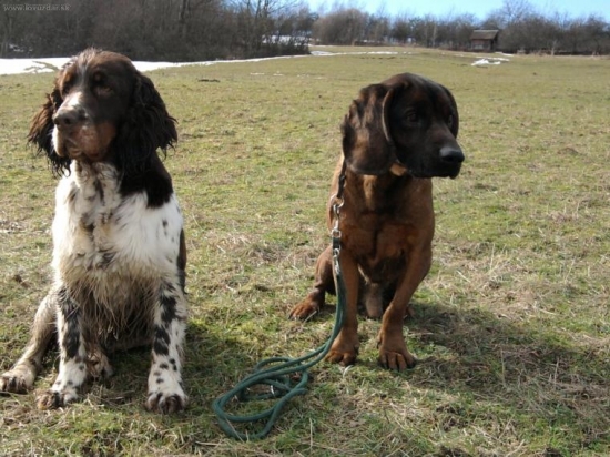 po vychadzke Hany a Hugo