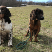 po vychadzke Hany a Hugo