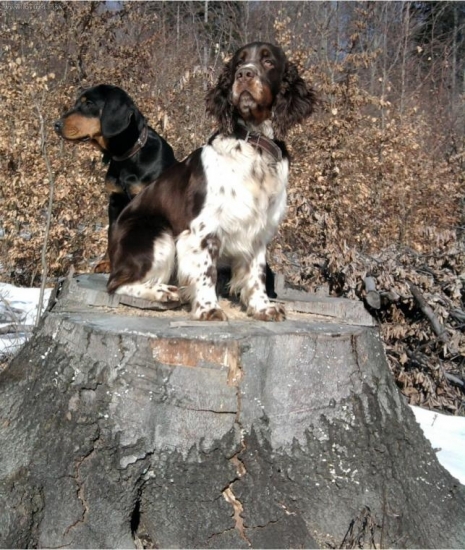 Prvé jarné slniečko je super vec