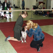 Dnes na výstave V Nitre