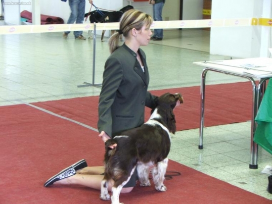 Výborný 2,R-CAC, a kandidátka chovu