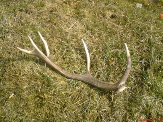 dnes rano na vychodnom Slovenku