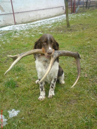 ucime sa apotovat zhody