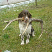 ucime sa apotovat zhody