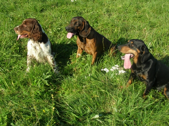 Konečne pár pekných dní