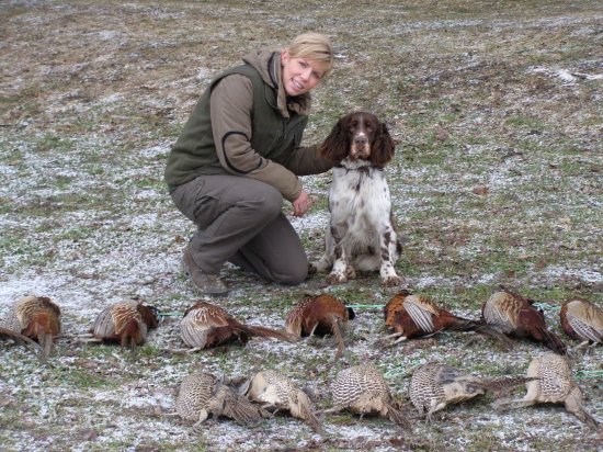 bažanty čo aportovala Honey