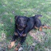 odpocinok pri jazierku