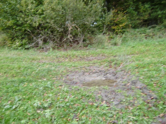 2010