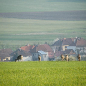 Konečně jaro.....