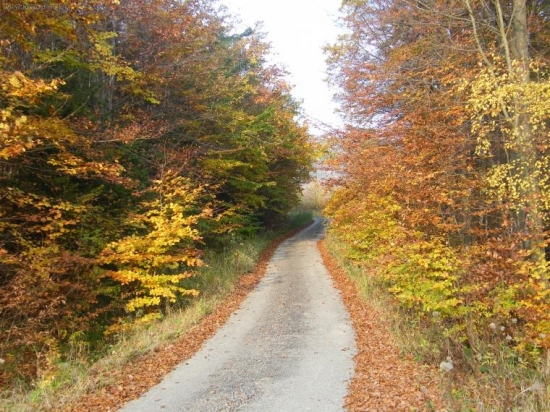 Podzim na Radošíně