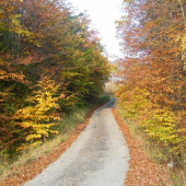 Podzim na Radošíně