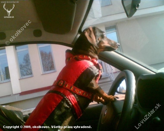 motorizovaný norník