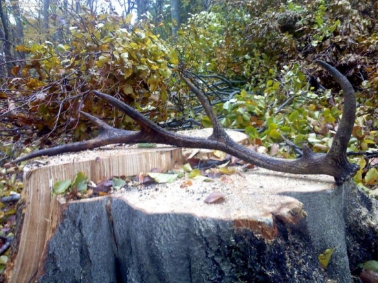 34400